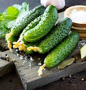 Image result for Cucumber