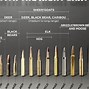 Image result for Bullet Size Chart for Hunting