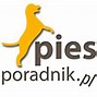 Image result for czeski_pies_górski