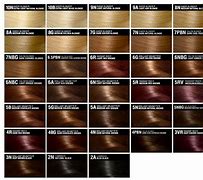 Image result for One N Only Hair Dye Color 4N