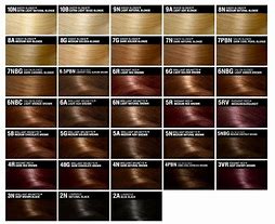 Image result for Salon Hair Color Chart