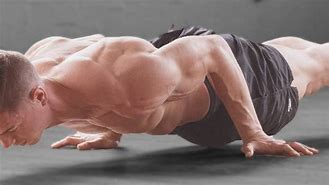 Image result for Planche Push-Up