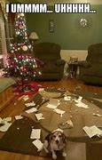 Image result for Time to Decorate for Christmas Meme