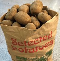 Image result for Potato Sack