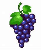 Image result for Retro 5s Grapes