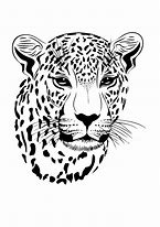 Image result for Pink and Black Leopard Wallpaper