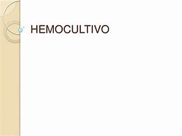 Image result for hemocultivo