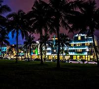 Image result for Miami Road Palm Trees