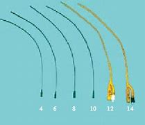 Image result for Urinary Catheter Size for Children