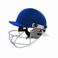 Image result for Cricket Tools