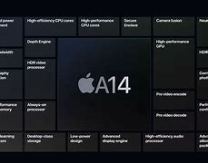 Image result for Apple A14 Die