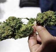 Image result for Real Weed