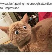 Image result for Cute Have Great Memes