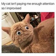 Image result for Drowsy Cat Meme