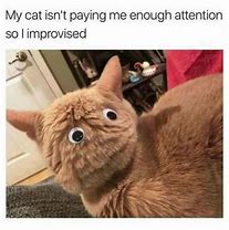 Image result for Cat No Makeup Meme Coffee