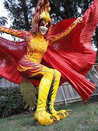 Image result for Phoenix Bird Costume