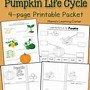 Image result for Mini Blank Book Template