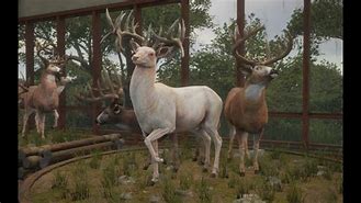 Image result for Hunter Cotw Great One