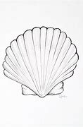 Image result for Sketch Sea Shells Drawing