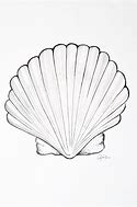 Image result for Sea Shell Ocean Bottom Drawing