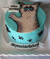 Image result for Angry Cat Birthday