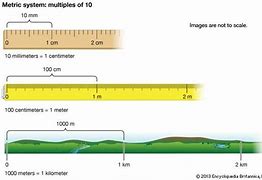 Image result for How Much Is 10 Meters