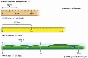 Image result for How Long Is a Meter in Centimeters