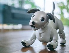 Image result for Pet Robot Dog
