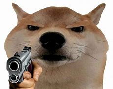 Image result for Doge with Gun Meme 1080X1080