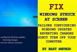 Image result for BIOS/Firmware Windows Update Screen Shot