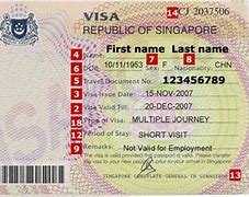 Image result for Singapore Need Visa