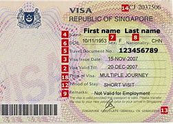 Image result for Singapore Temp Visa