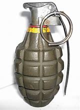 Image result for Fragmentation Grenade