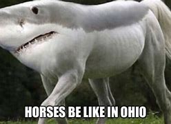 Image result for Ohio Be Like Meme