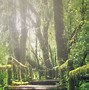 Image result for Seamless Nature