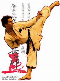 Image result for shito ryu martial arts
