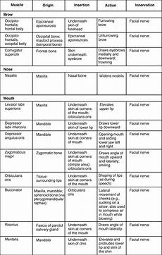 Origin And Of Muscles Chart In 2020 Pediatric