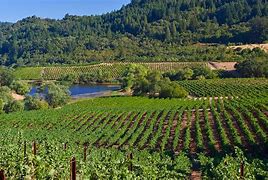 Image result for Michel Schlumberger Deux Terres