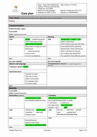 Image result for Blank Care Plan Template