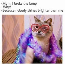 Image result for Jealous Cat Meme
