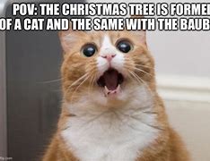 Image result for Shocked Christmas Cat