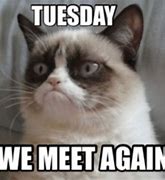 Image result for Totally Tuesday Meme