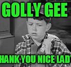 Image result for Gee Golly Thanks Meme