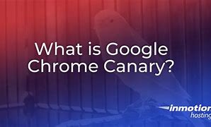 Image result for Chrome Canary