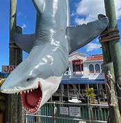 Image result for Jaws Photo Op Universal