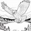 Image result for Owl Outline Coloring Pages