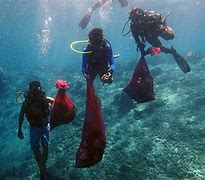 Image result for Divers Cleaning Ocean