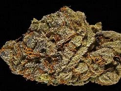 Image result for CBD Marijuana