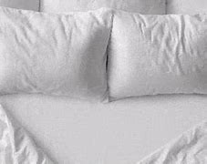 Image result for Bed Zoom Background