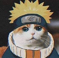 Image result for Naruto Uzumaki Cat